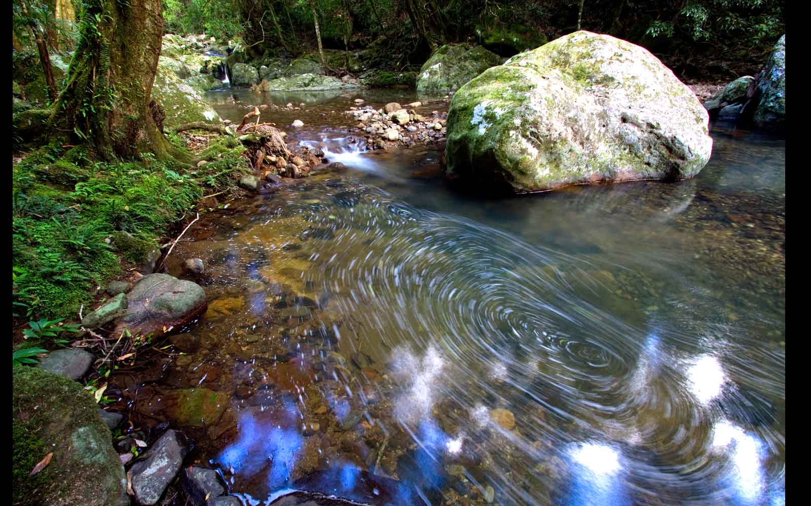Meeting of the Waters, Springbrook National Park